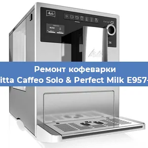 Ремонт капучинатора на кофемашине Melitta Caffeo Solo & Perfect Milk E957-103 в Нижнем Новгороде